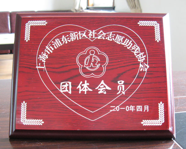 浦東新區社會志愿助殘協會團體會員2010年