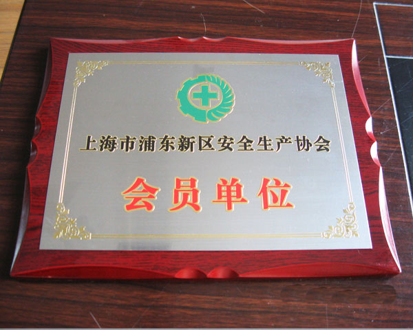 上海浦東新區安全生產協會會員單位